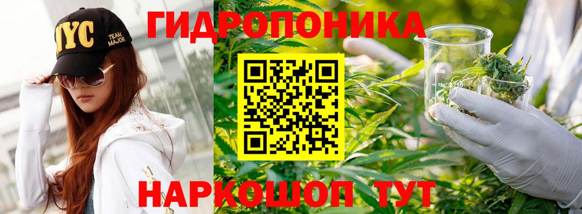 Марихуана Amnesia Еманжелинск